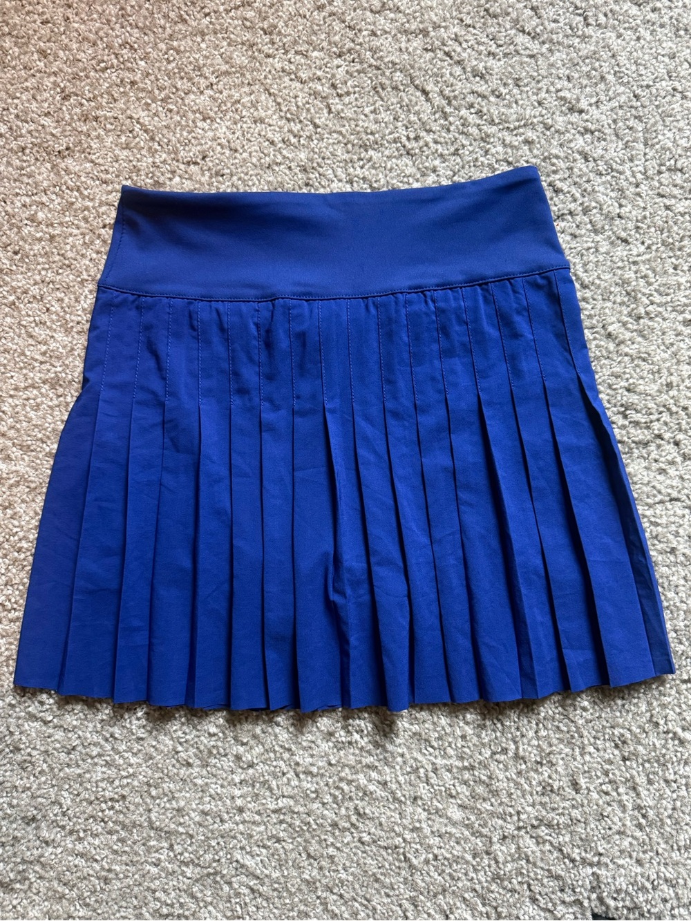 Pleated Mini Skirt (S) (Blue)